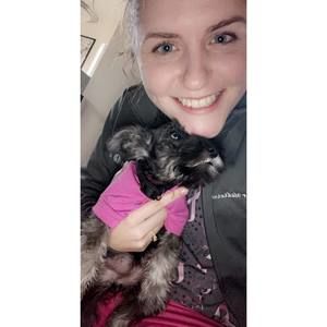 Meet your Posher, Abigail